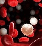 השתלת דם טבורי - תמונת המחשה